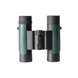 Alpen MagnaView 10x25 Binoculars (GameStop)