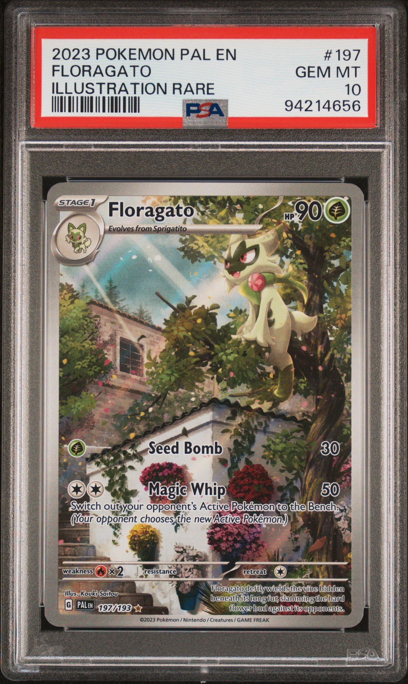 2023 Pokemon Pal En Paldea Evolved 197 Floragato Illustration Rare PSA