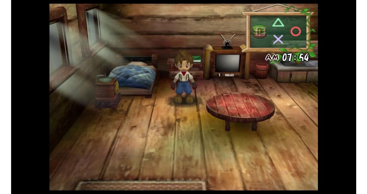 Harvest Moon: A Wonderful Life - GameCube