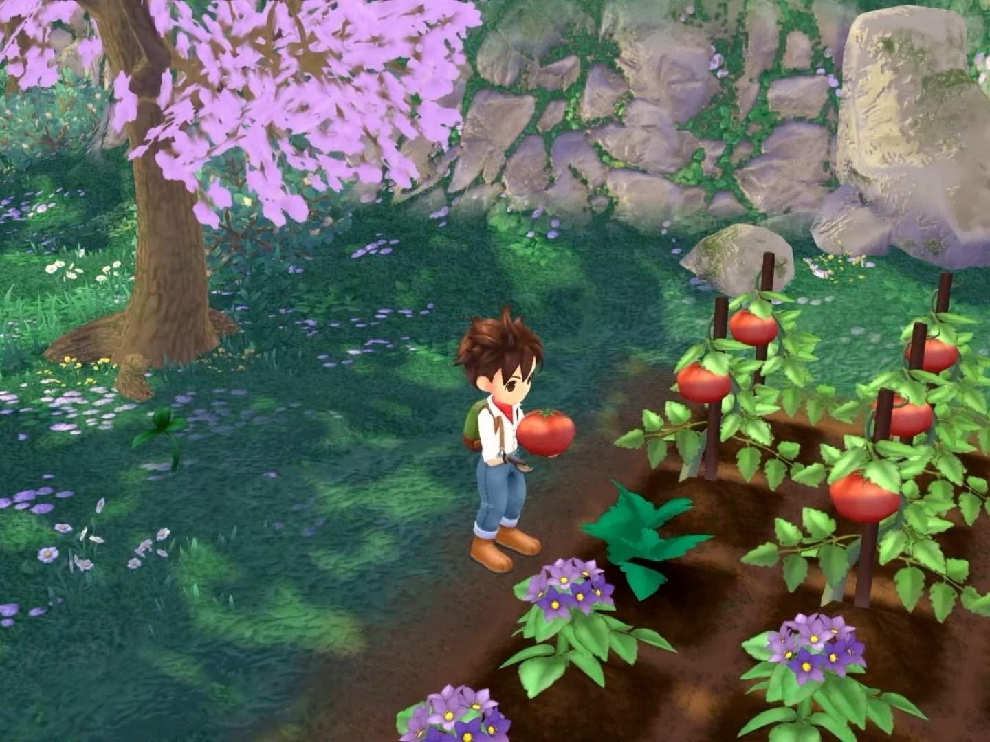 Harvest Moon: A Wonderful Life - GameCube