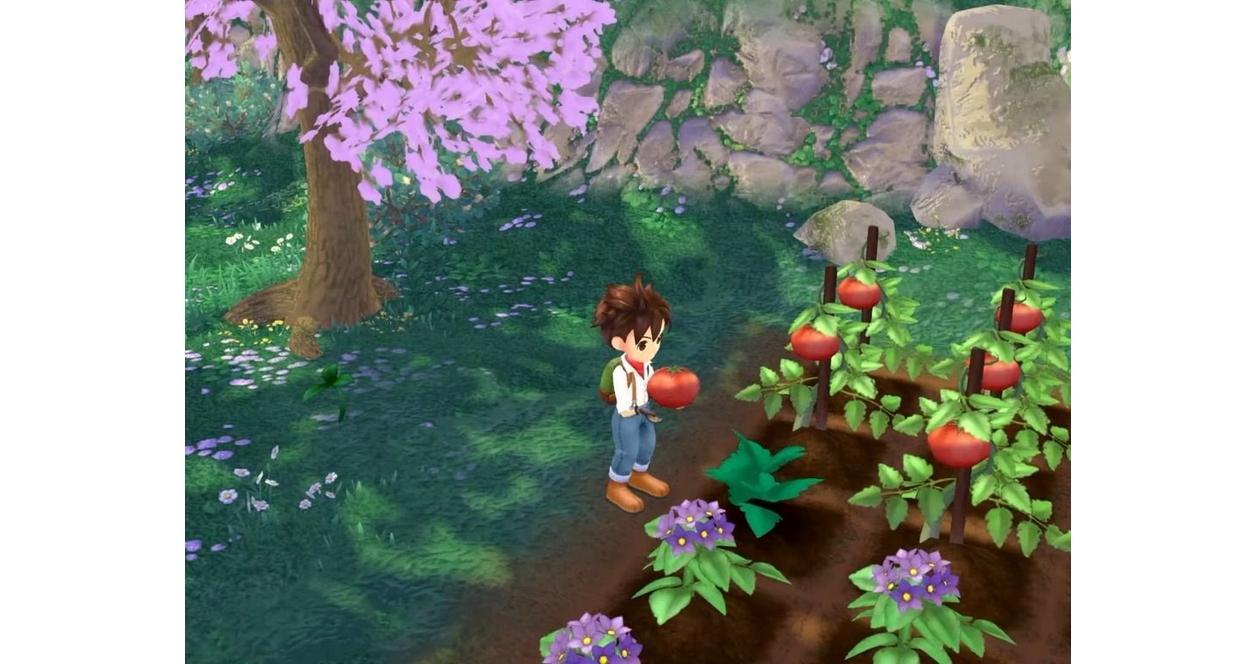 Harvest Moon: A Wonderful Life - GameCube