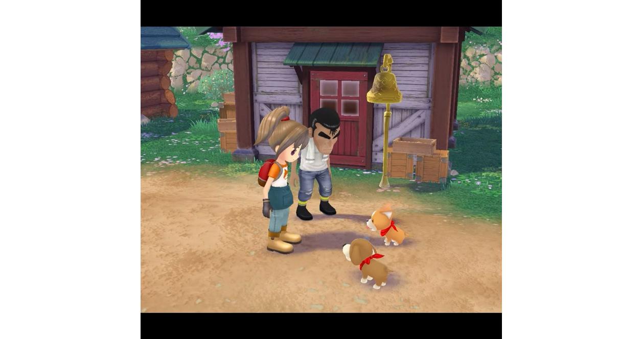 Harvest Moon: A Wonderful Life - GameCube