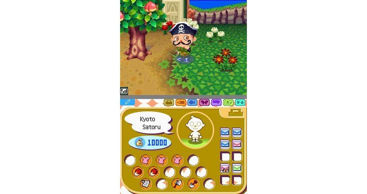 Animal Crossing Ds Review Animal Crossing: Wild World Nintendo