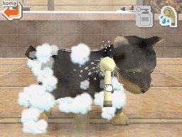 https://media.gamestop.com/i/gamestop/10039280_SCR05/Nintendogs-Lab-and-Friends?$screen$