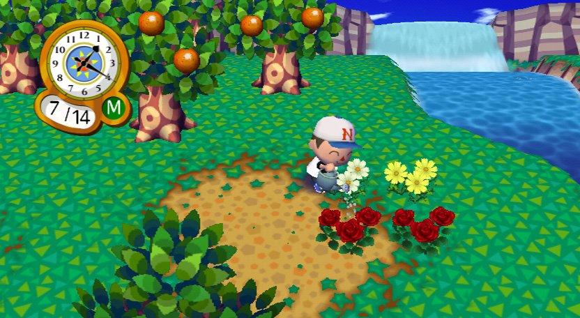 Animal crossing store city folk release