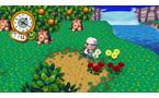 Animal Crossing: City Folk &#40;Game Only&#41; - Nintendo Wii