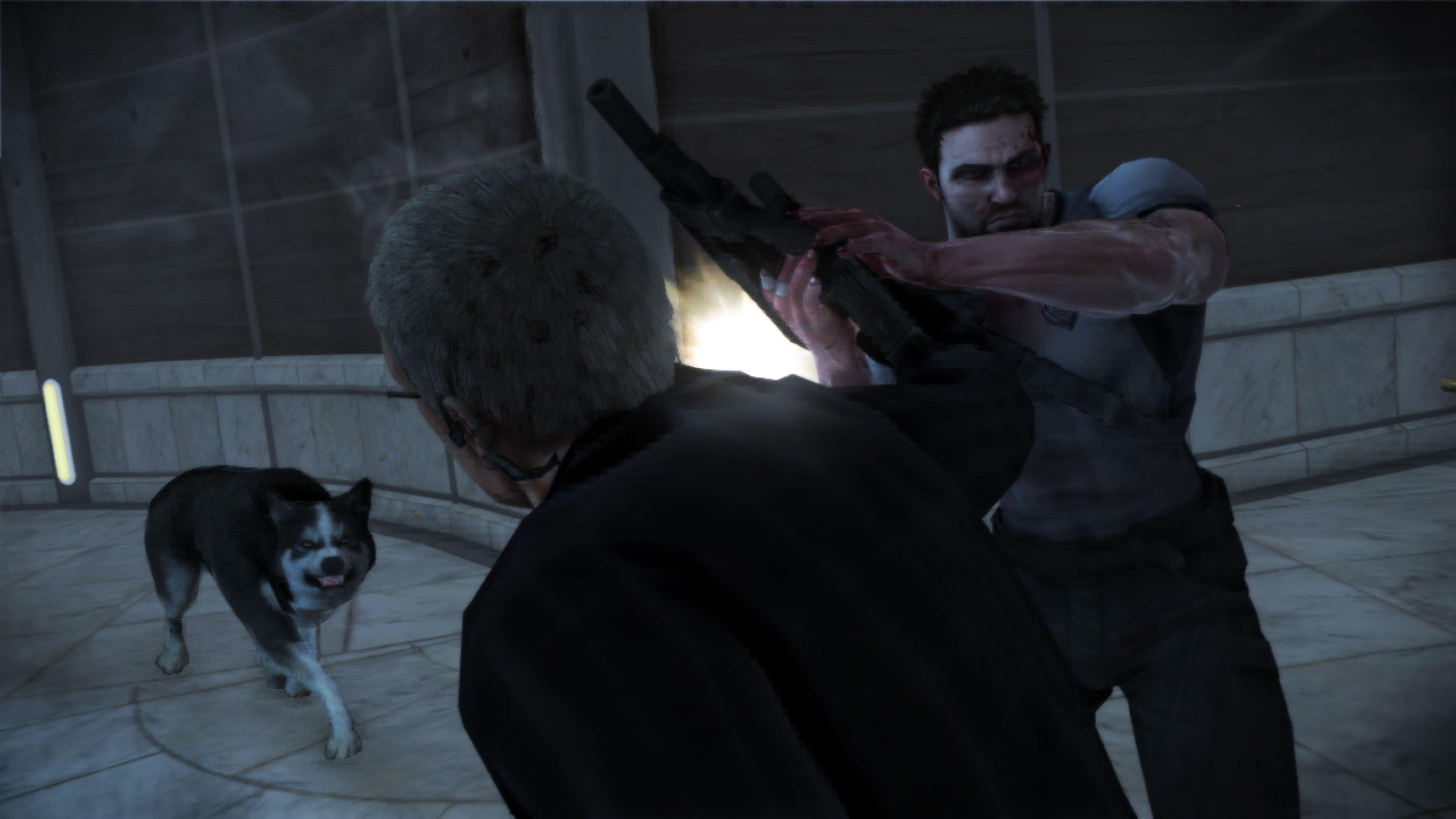 Dead-to-Rights-Retribution.jpg