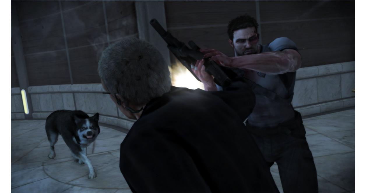 Dead to Rights: Retribution - PlayStation 3 | Bandai | GameStop