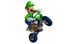 Mario Kart Wii &#40;Game Only&#41; - Nintendo Wii