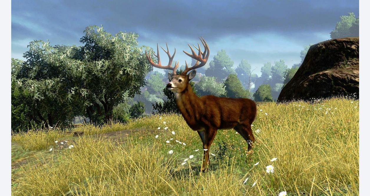 Cabela's Outdoor Adventure - Xbox 360, Activision