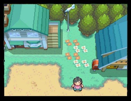 Pokemon HeartGold and SoulSilver review: Pokemon HeartGold and