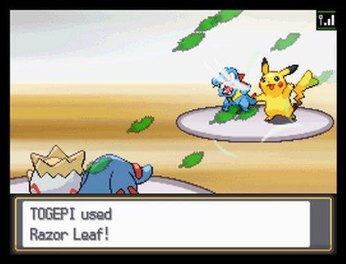  Pokemon HeartGold Version : Nintendo: Video Games