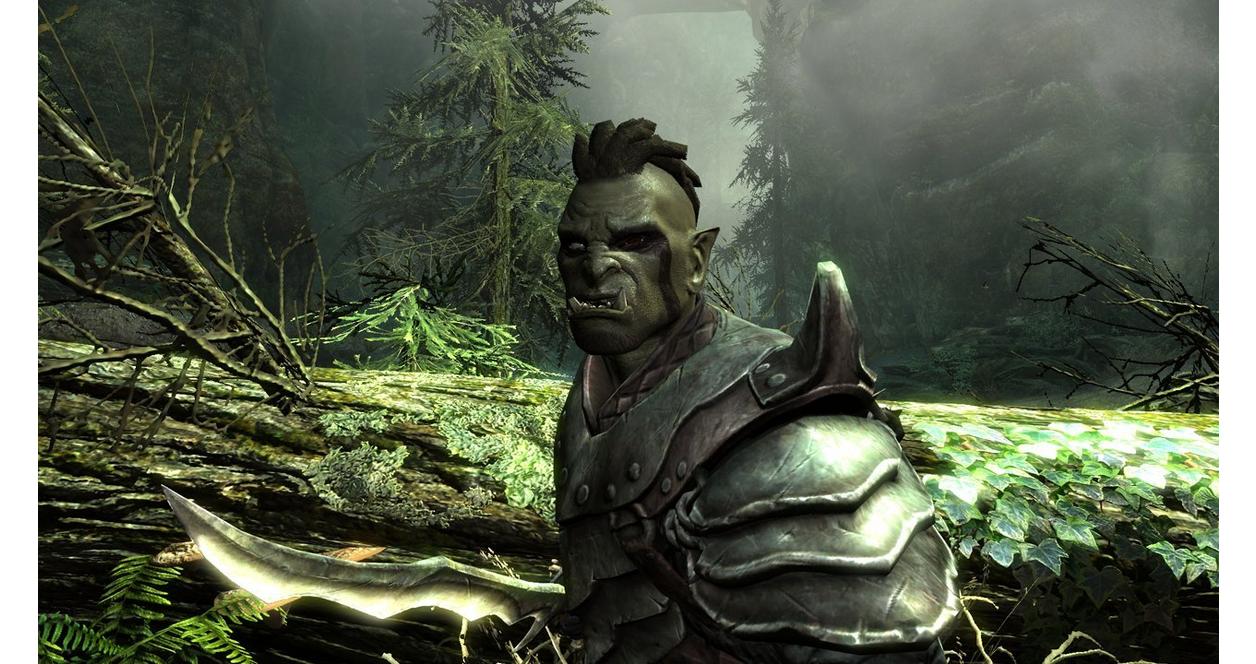 Skyrim スカイリム Switch The Elder Scrolls V: Skyrim Anniversary Upgrade DLC