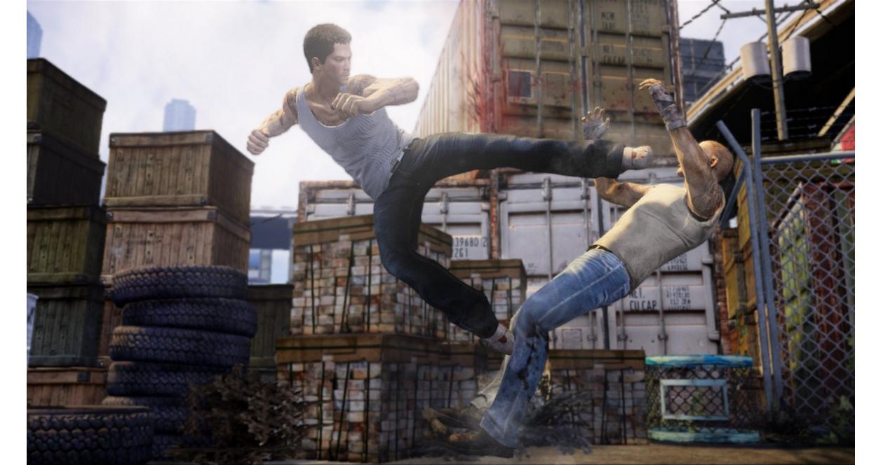 Sleeping Dogs - PlayStation 3