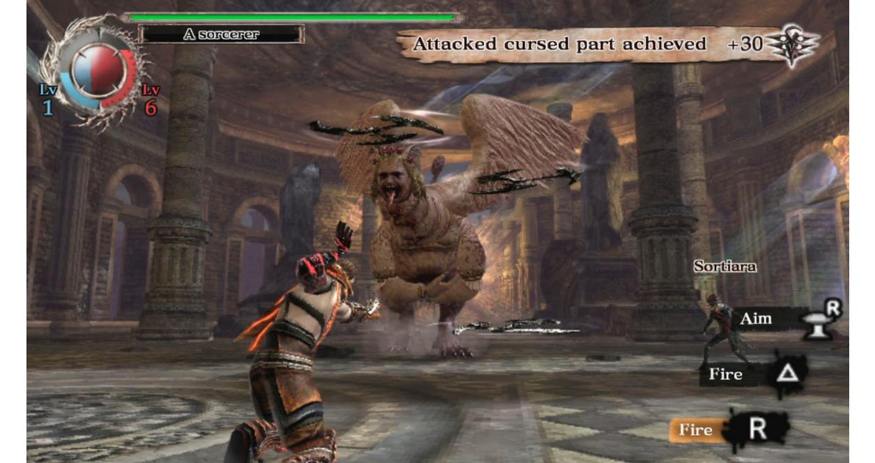 PlayStation Vita - SONY PlayStationVITA 本体+ SOUL SACRIFICE Sony PlayStation Vita Soul Sacrifice Premium Edition 500GB