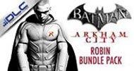 robin arkham city costume