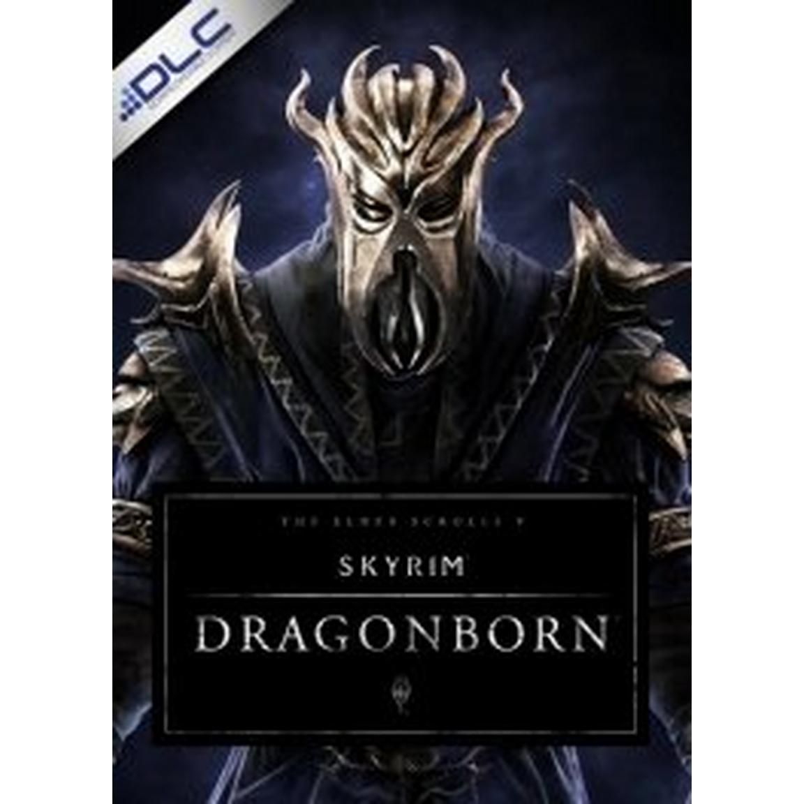 Bethesda Softworks The Elder Scrolls V: Skyrim - Dragonborn DLC - PC -  ESD-IMP-W4200