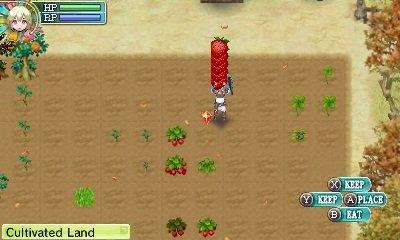 rune factory 3ds