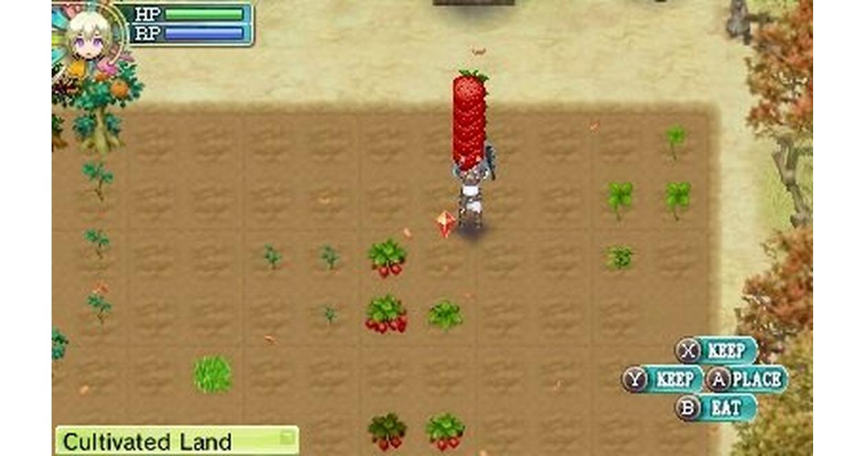 Rune Factory XSEED Games GameStop