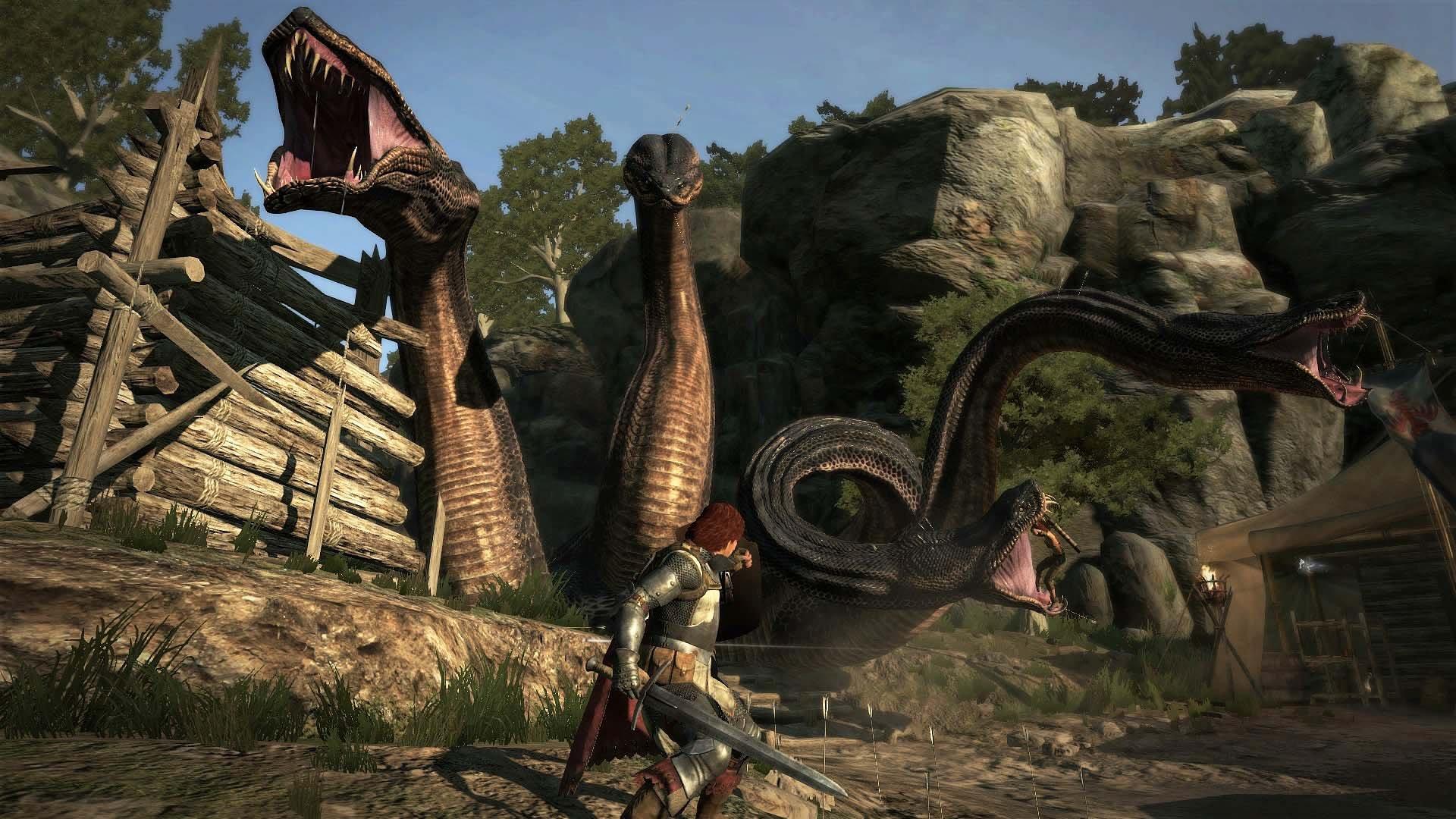 Dragon's Dogma Review - Capcom Delivers An Open World Worth Exploring -  Game Informer