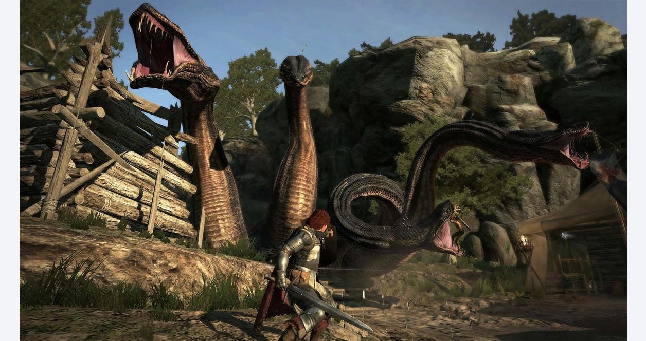 Dragon's Dogma: Dark Arisen - PlayStation 4, PlayStation 4