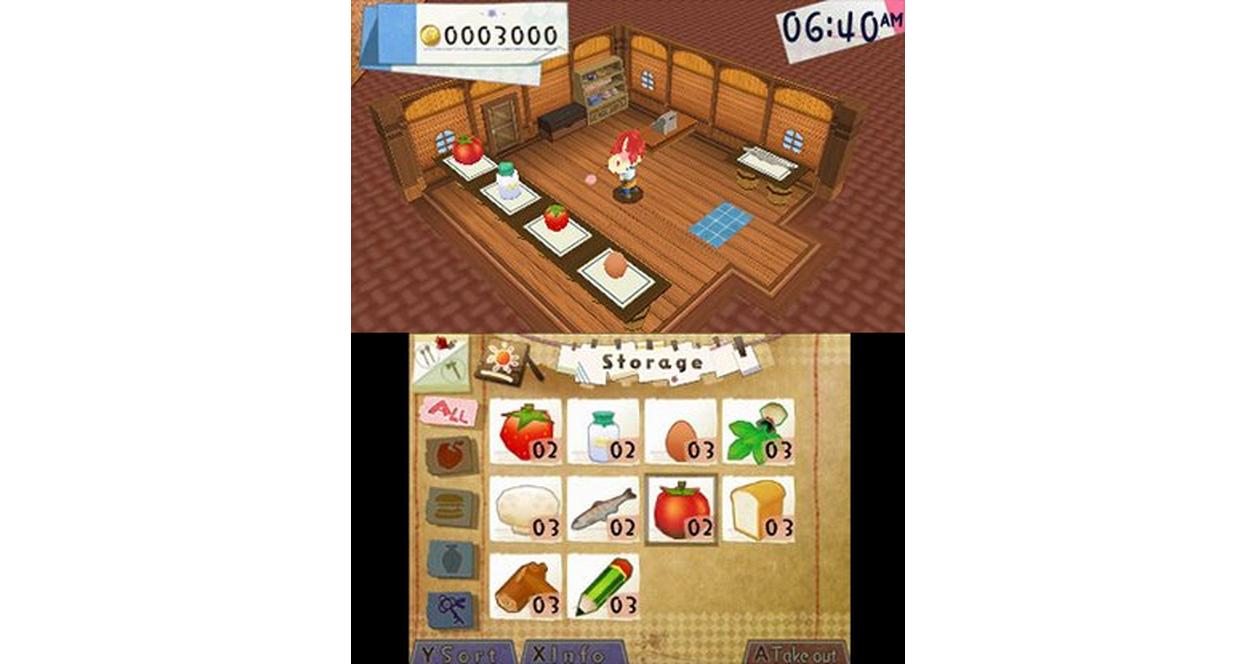 Hometown Story - Nintendo 3DS