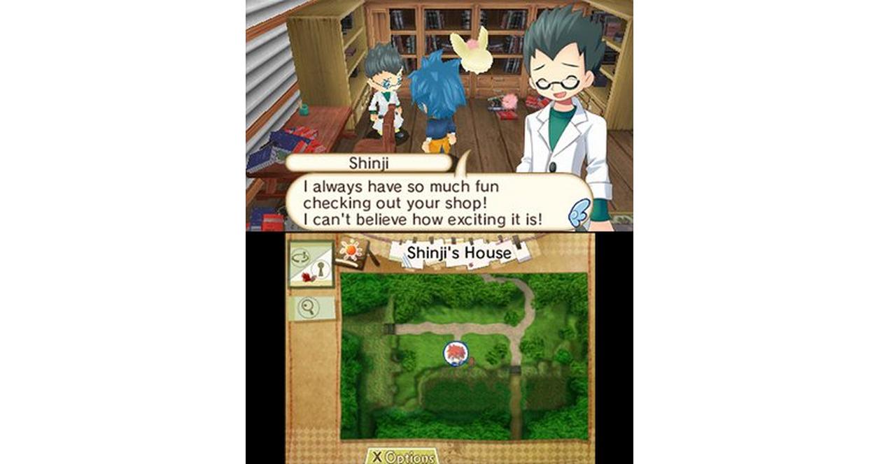 Hometown Story - Nintendo 3DS