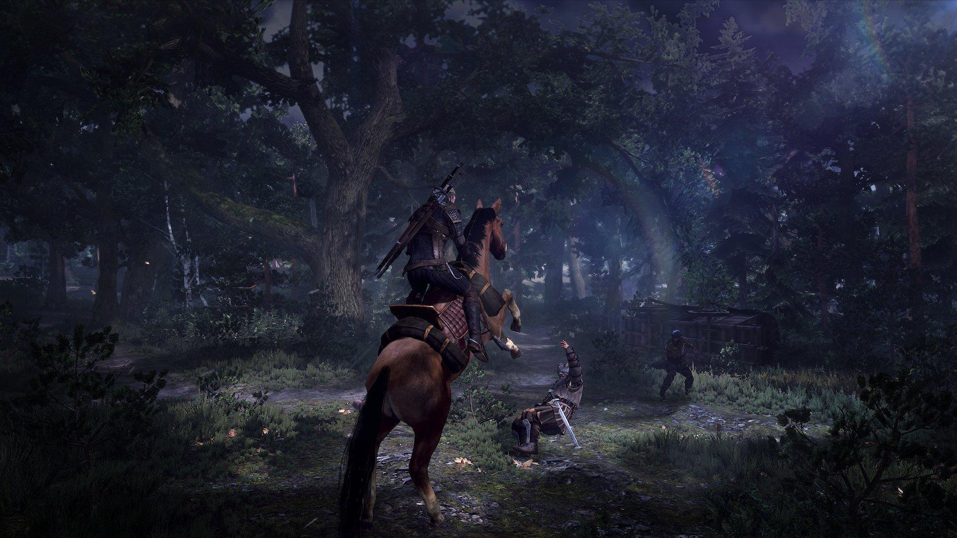 The Witcher III: Wild Hunt - PC
