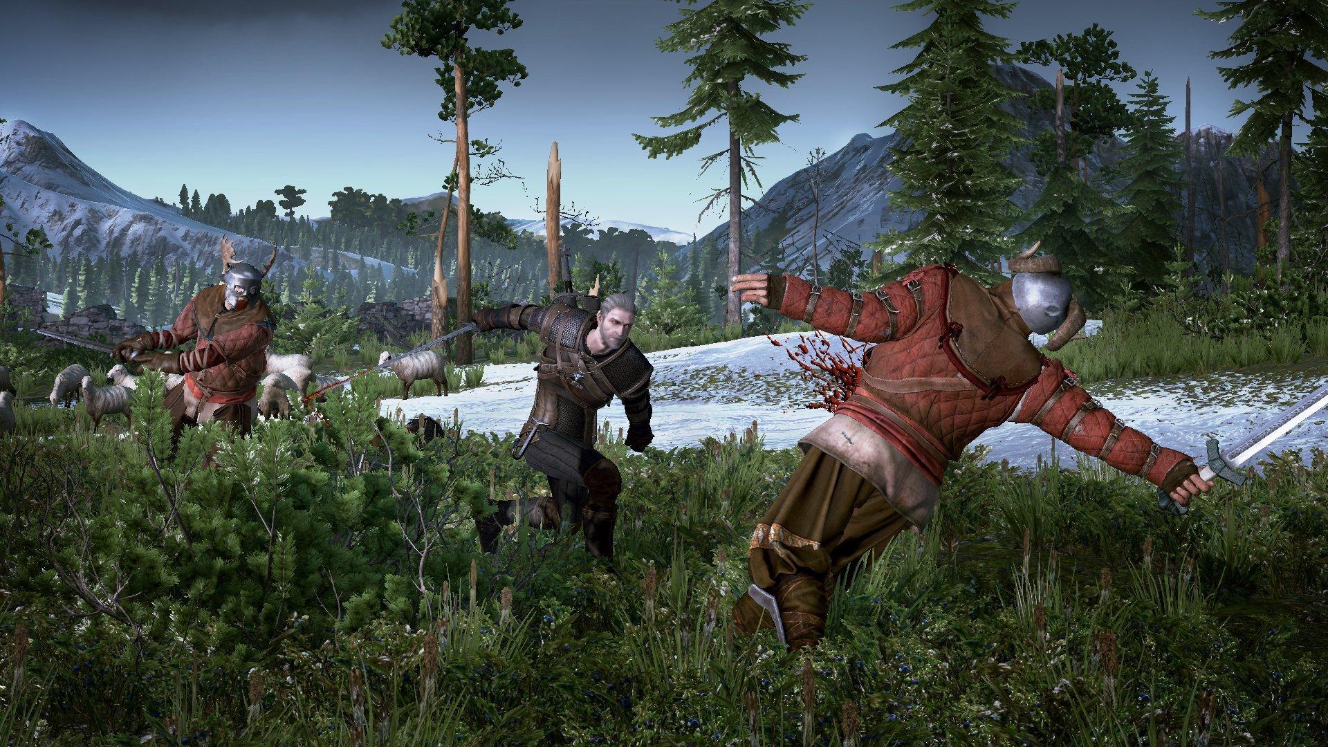 Warner Bros. Interactive The Witcher 3: Wild Hunt (PS4) 