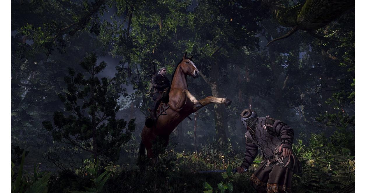 The Witcher III: Wild Hunt - PlayStation 4
