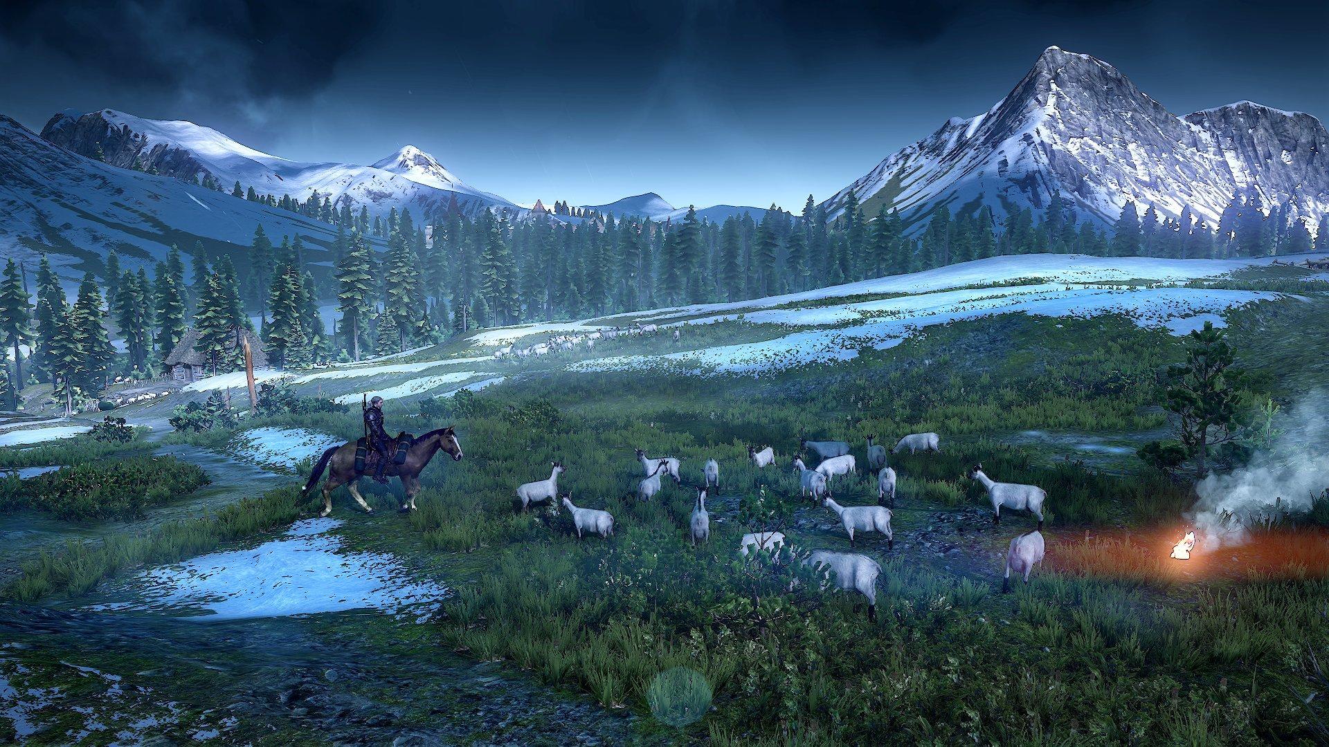 The Witcher III: Wild Hunt - PC