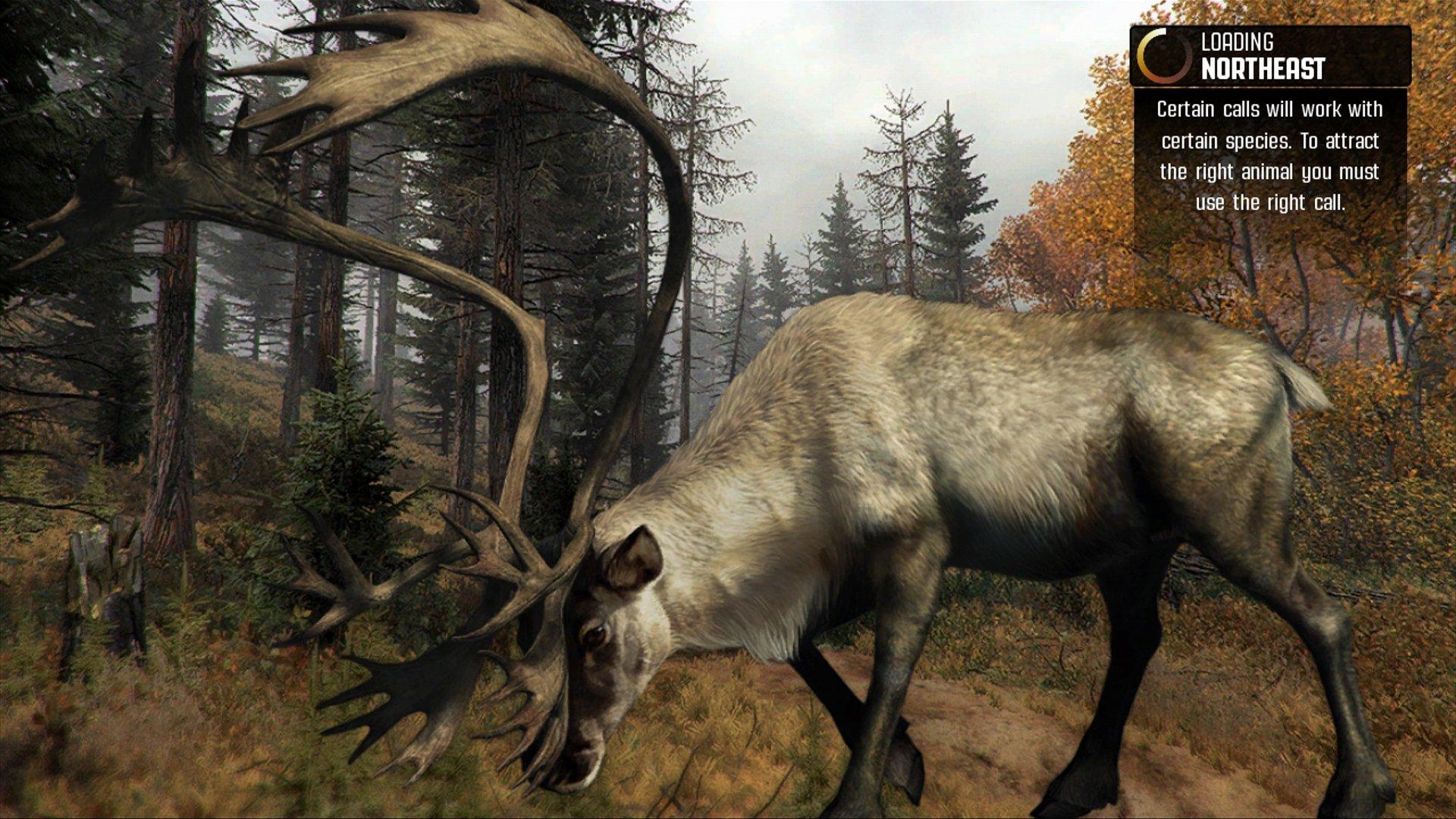 Cabela's big 2024 buck hunter