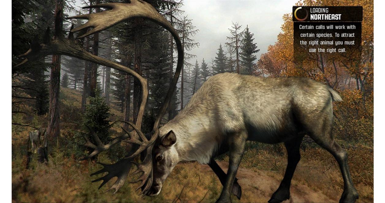 Cabela's Big Game Hunter: Pro Hunts - Xbox 360