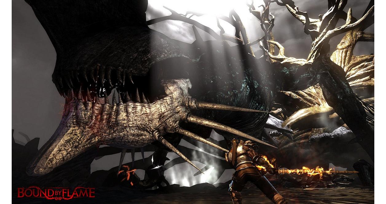 Bound By Flame - Xbox 360