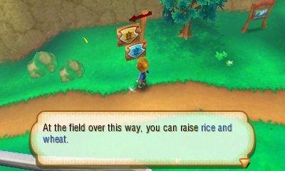 Story of seasons nintendo 2024 3ds