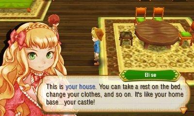 story of seasons ds