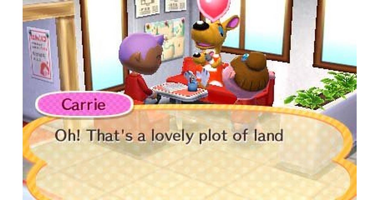 Amiibo Cards for Animal Crossing Happy Home Designer