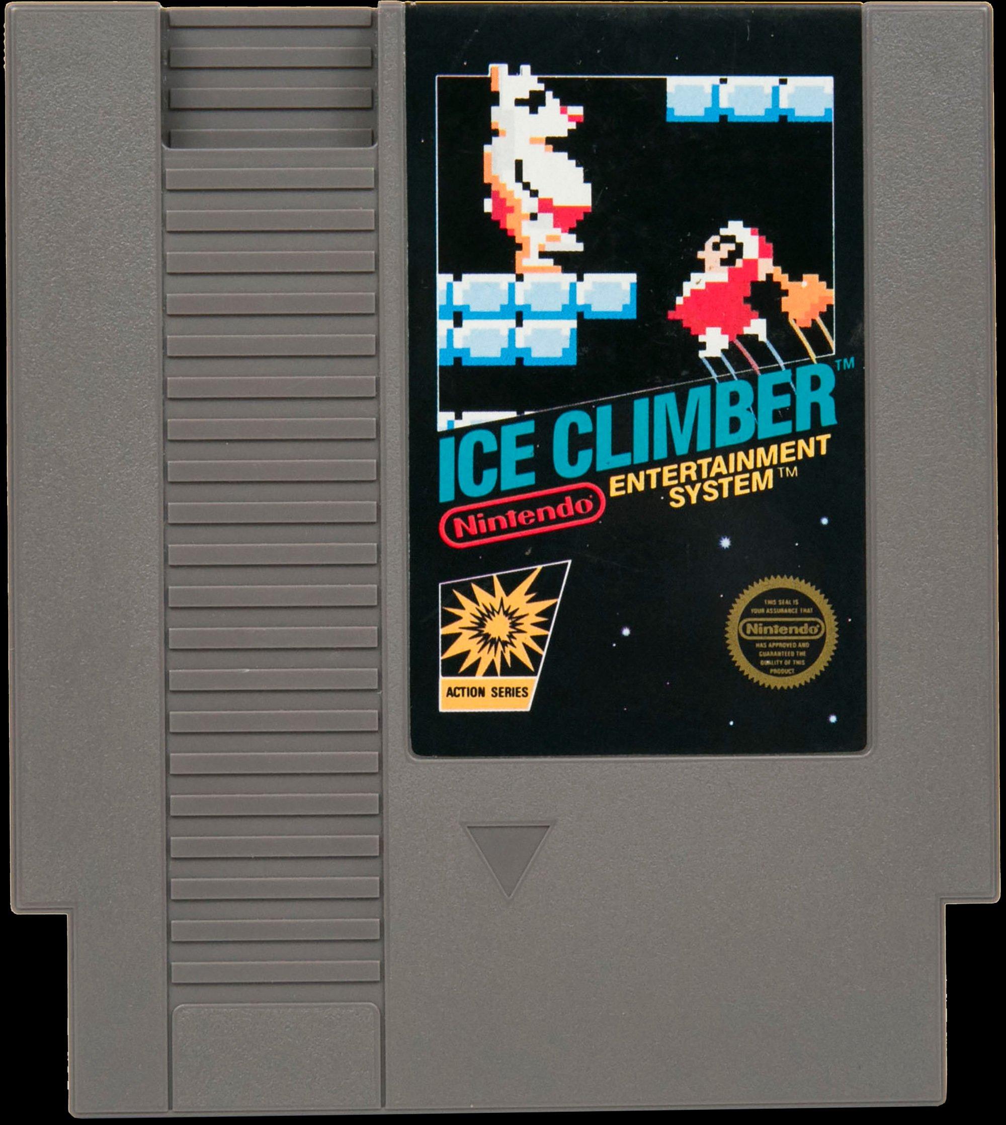 Ice climber best sale nes online