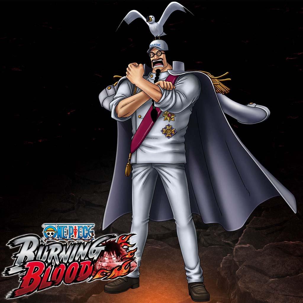 One Piece Burning Blood: Marineford Collector's Edition, PS4 usato