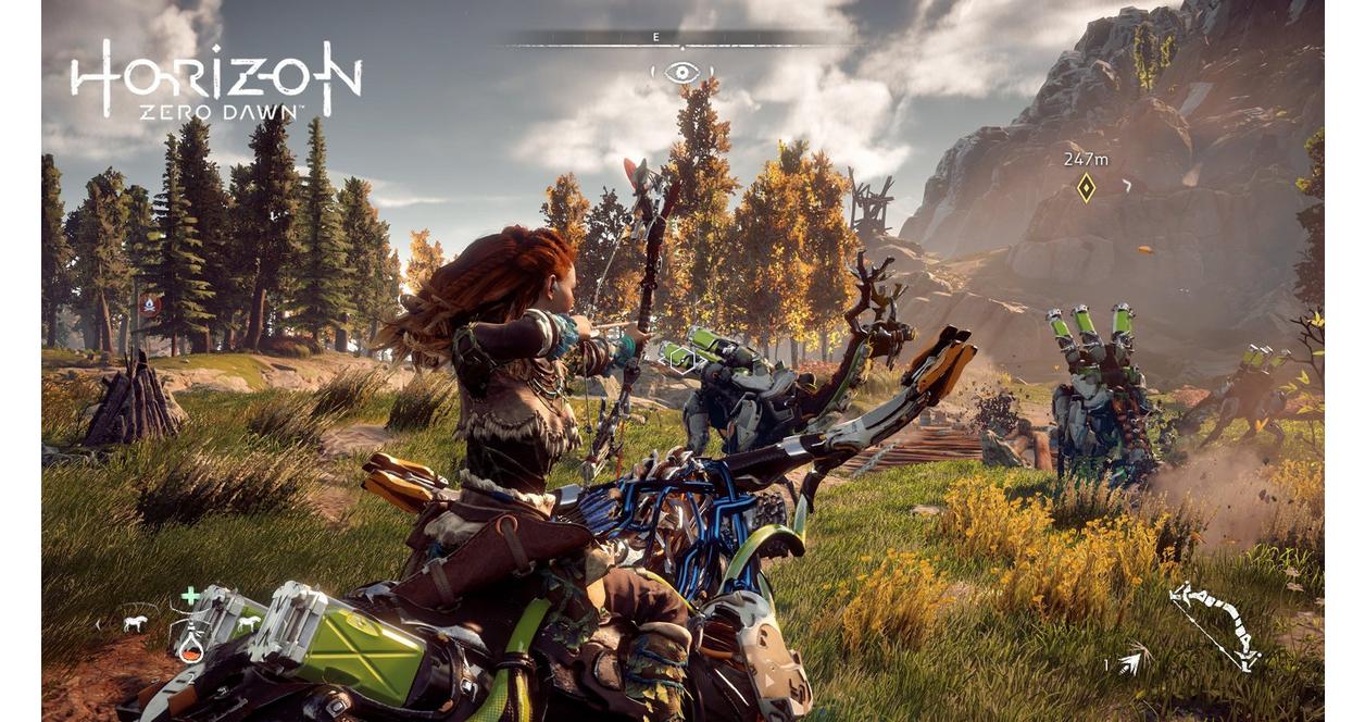 PlayStation4 - PS4 500GB プレイステーション4 horizon zero dawn Sony PS4 HORIZON ZERO DAWN PlayStation 4 Video Game VGUC