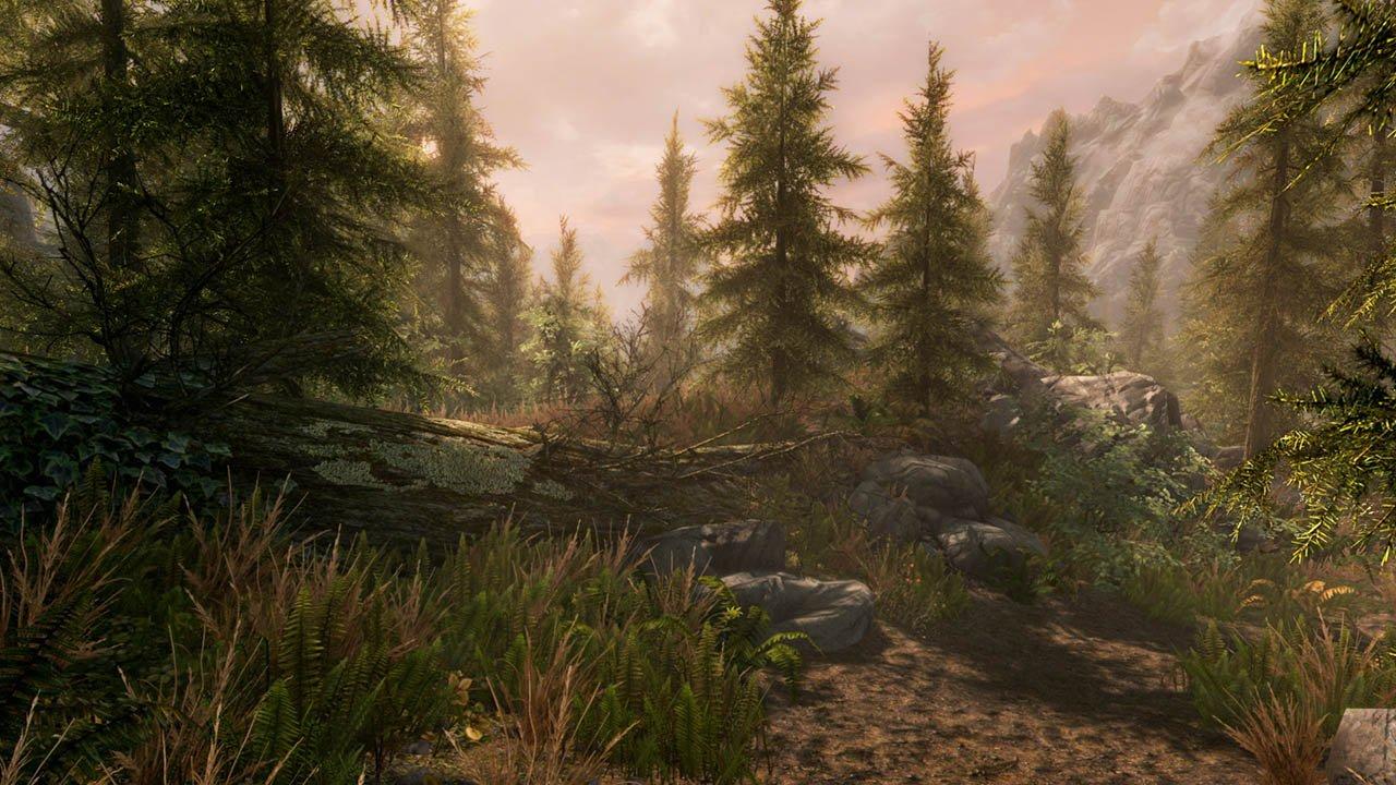 The Elder Scrolls V: Skyrim Special Edition