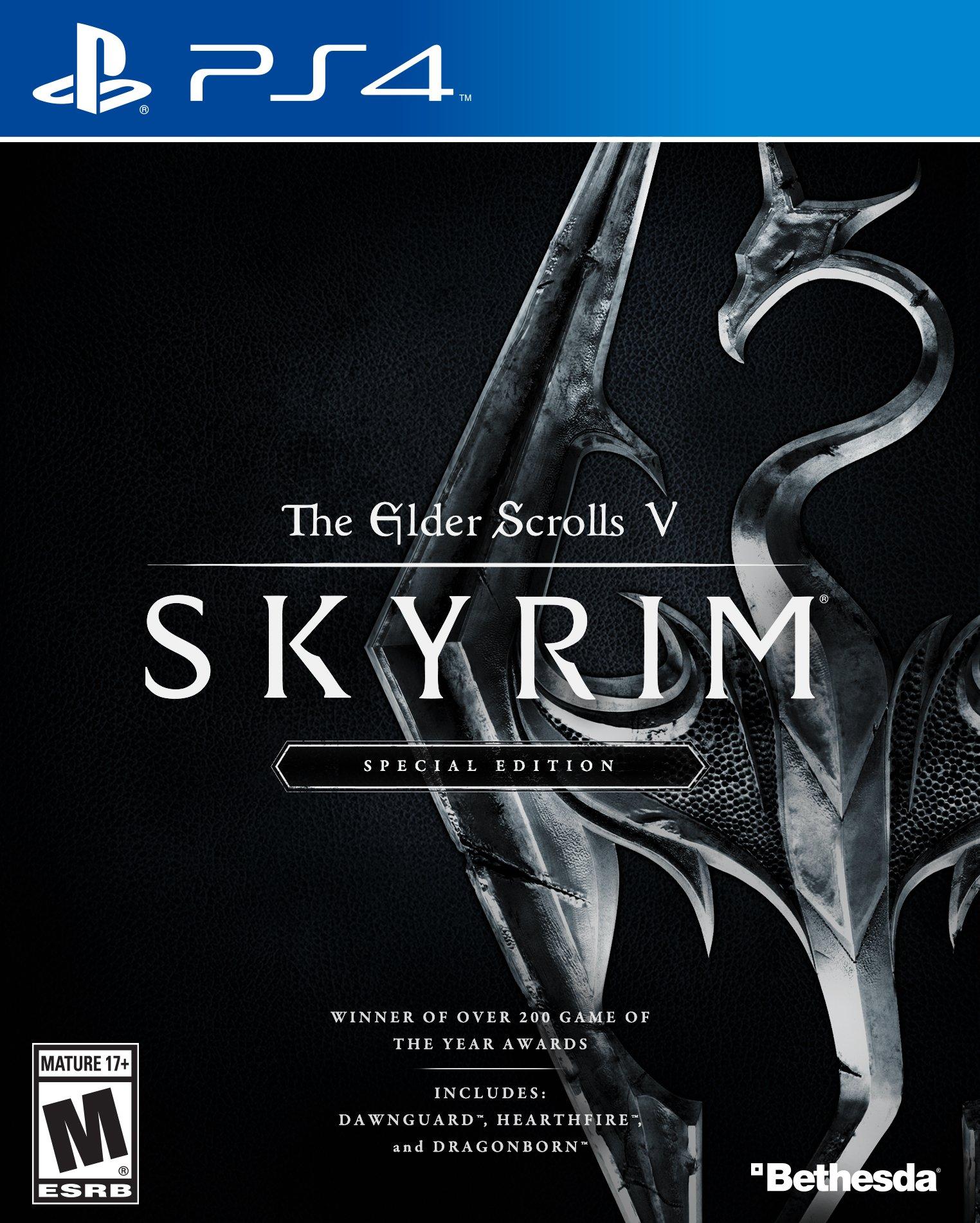 skyrim video game