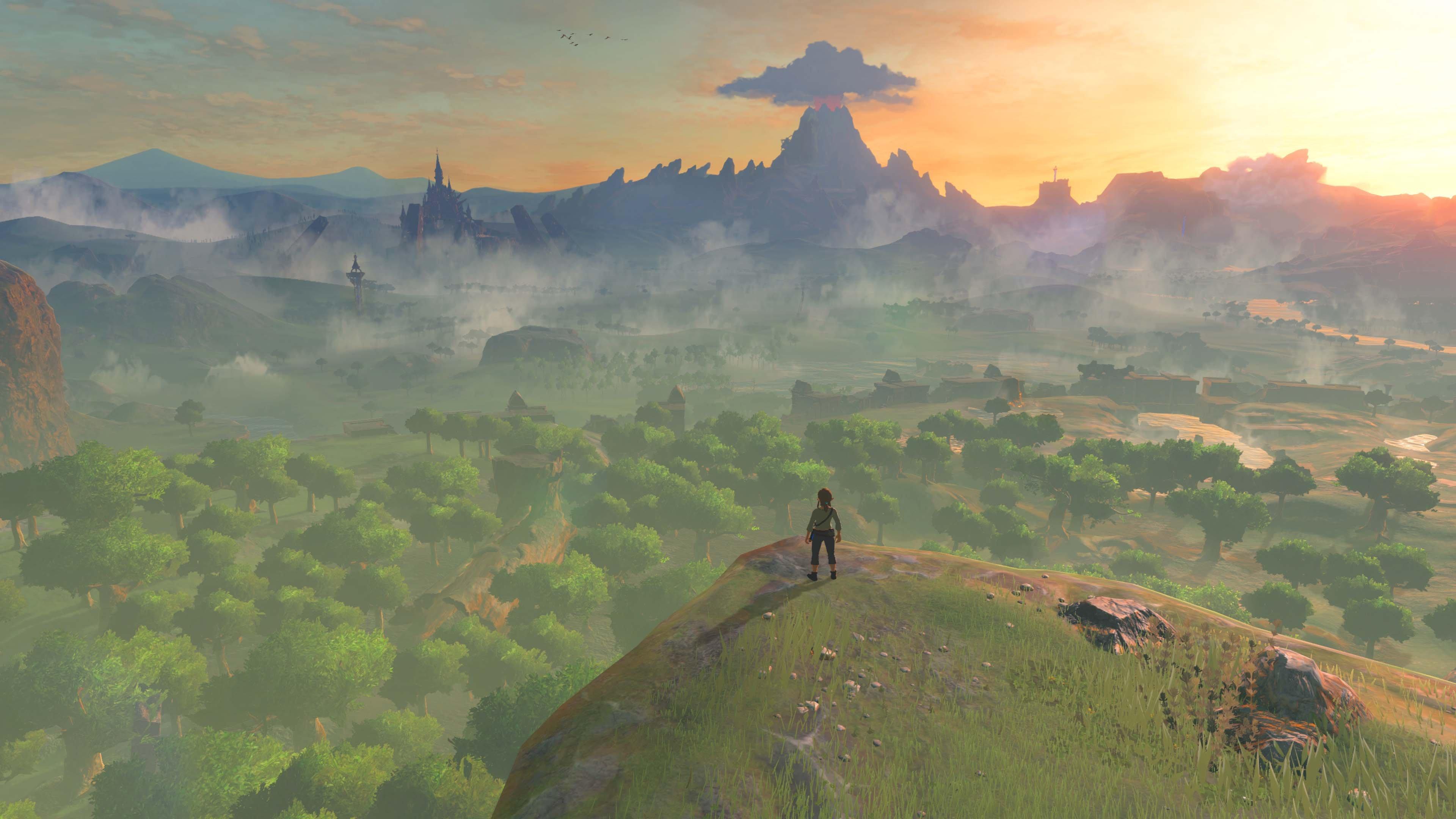  The Legend of Zelda: Breath of the Wild - Wii U : Everything  Else