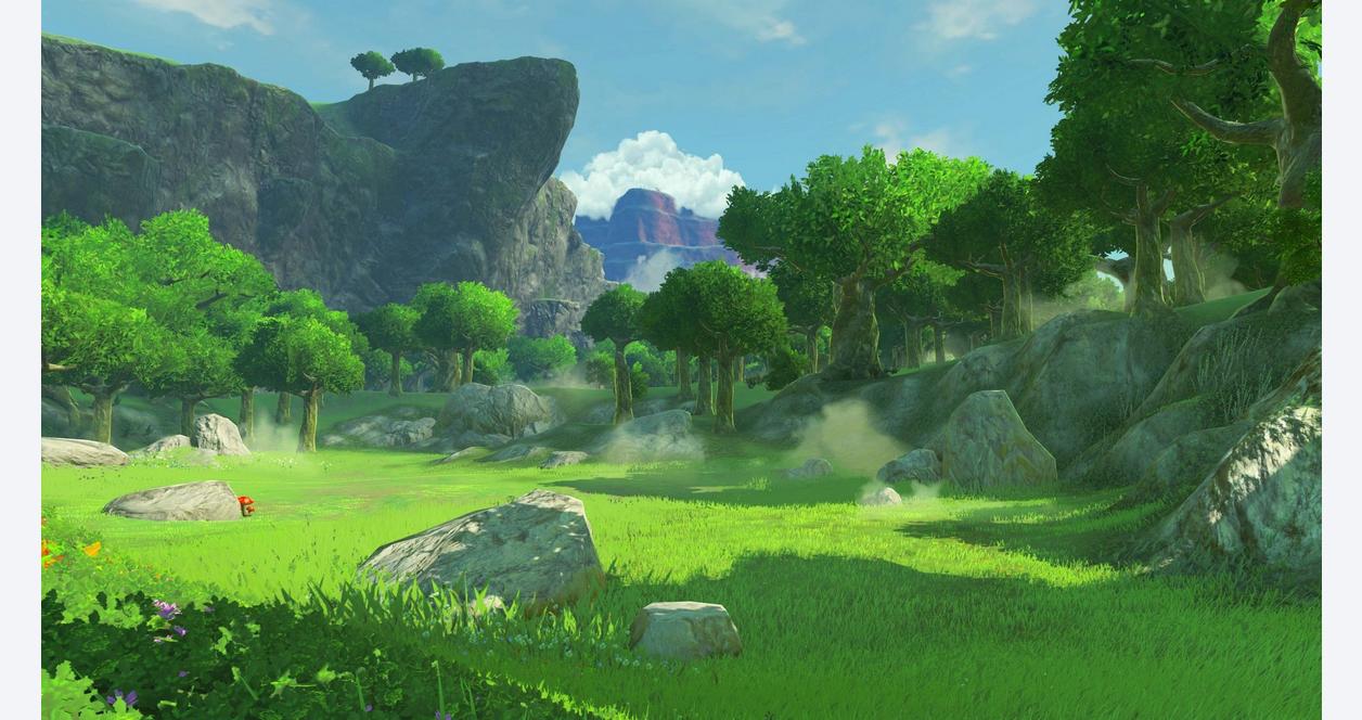 The Legend of Zelda: Breath of the Wild Background 4 : Nintendo