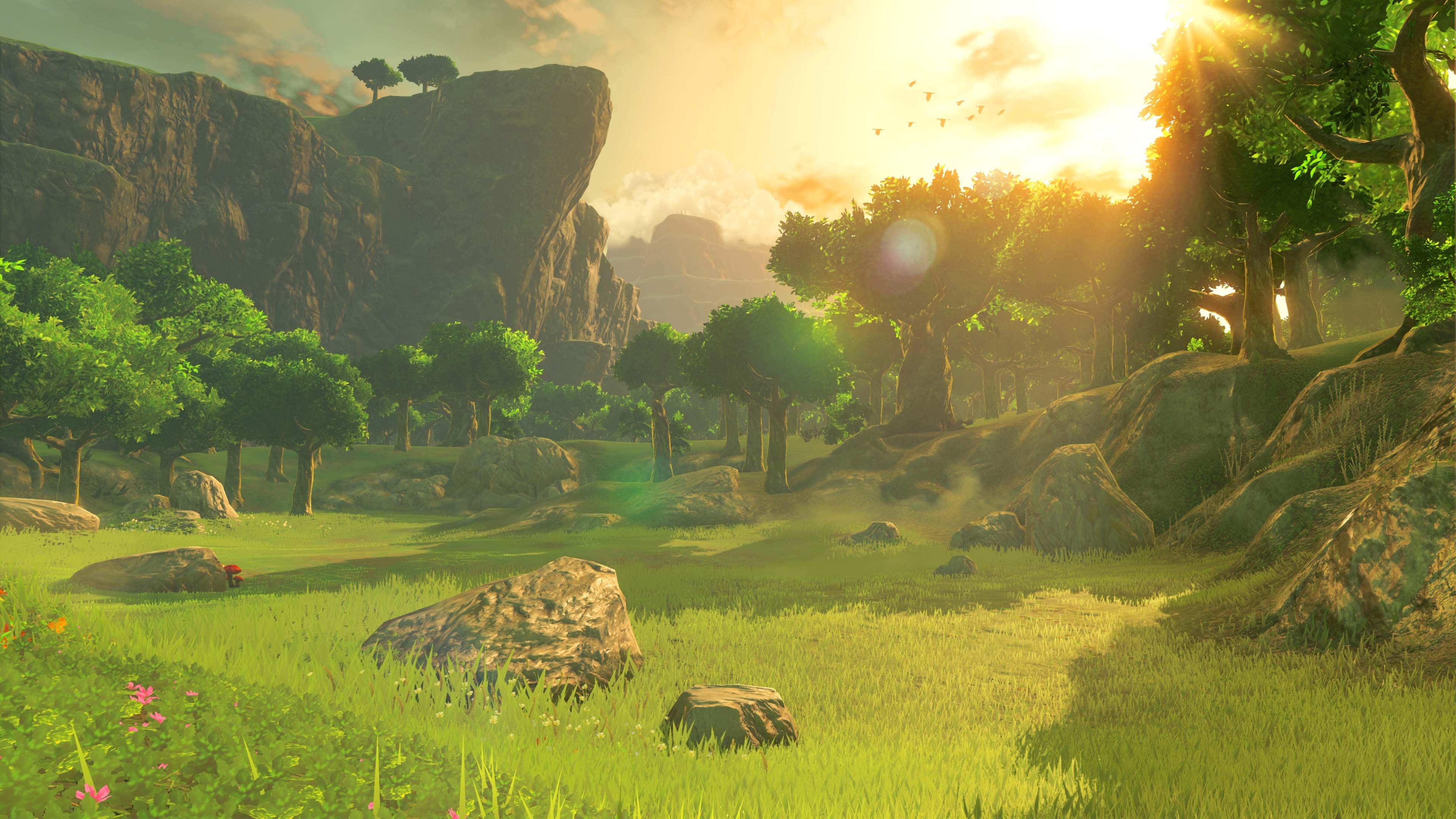 The Legend of Zelda: Breath of the Wild - Nintendo Wii U ( World Editi –  J&L Video Games New York City