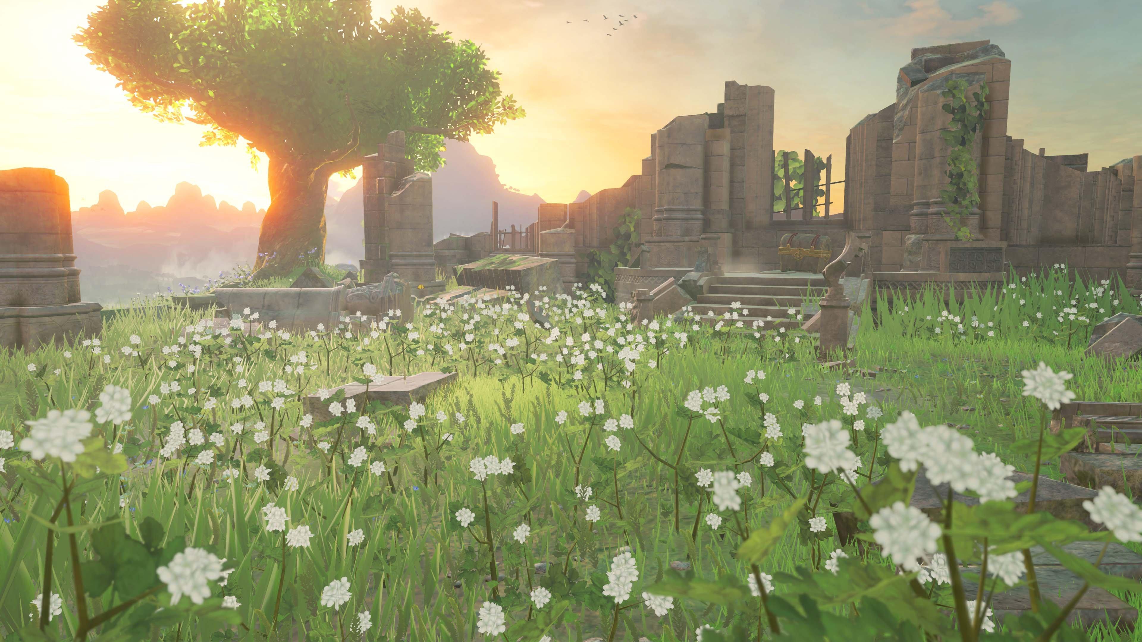 breath of the wild used gamestop