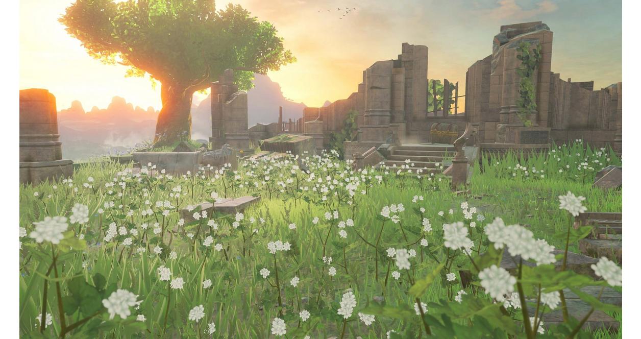 The Legend of Zelda: Breath of the Wild - Nintendo Switch