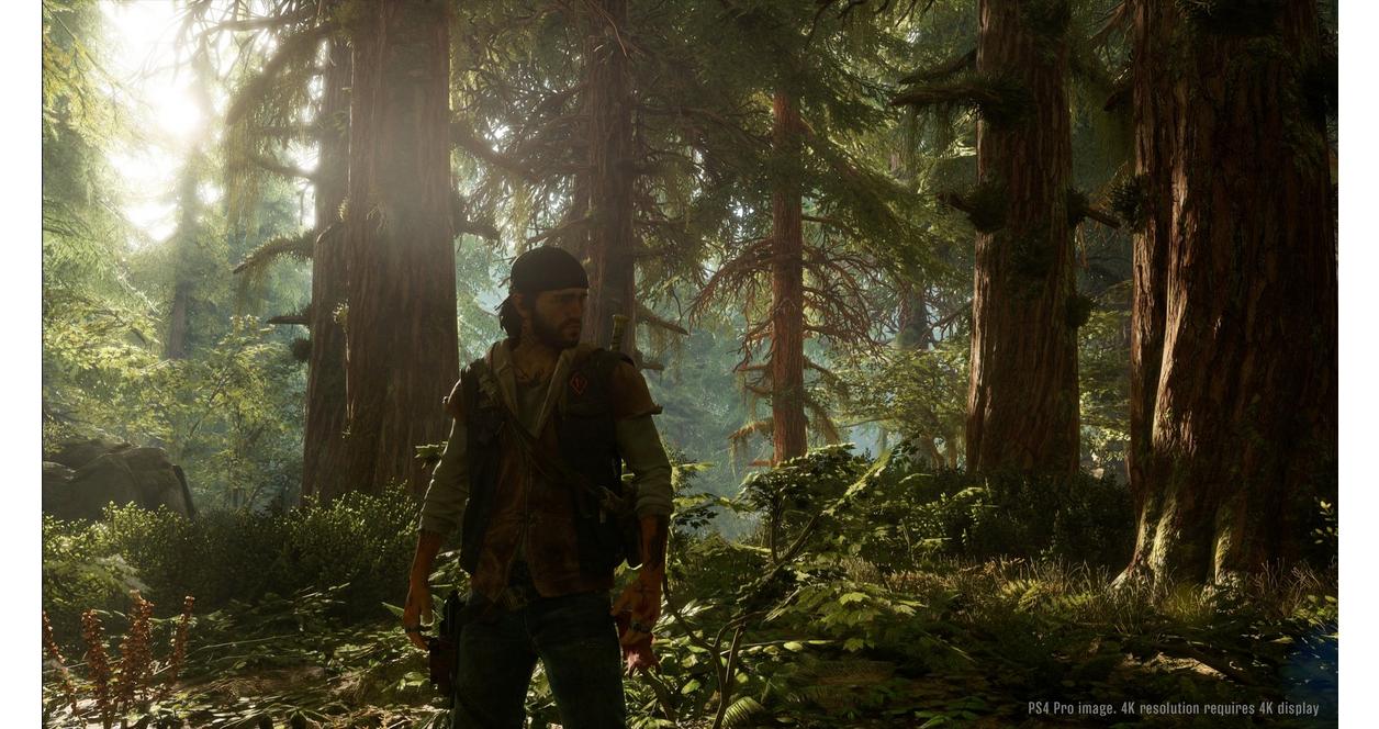 Days Gone - PlayStation 4