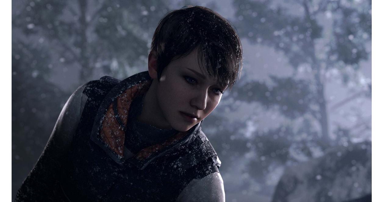 Detroit Become Human - PlayStation 4