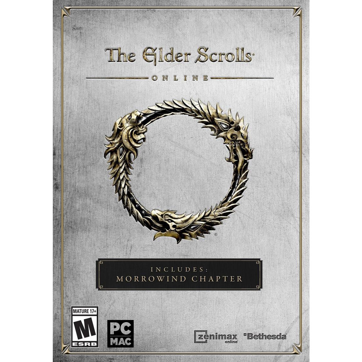 Bethesda Softworks The Elder Scrolls Online - PC -  GS146332